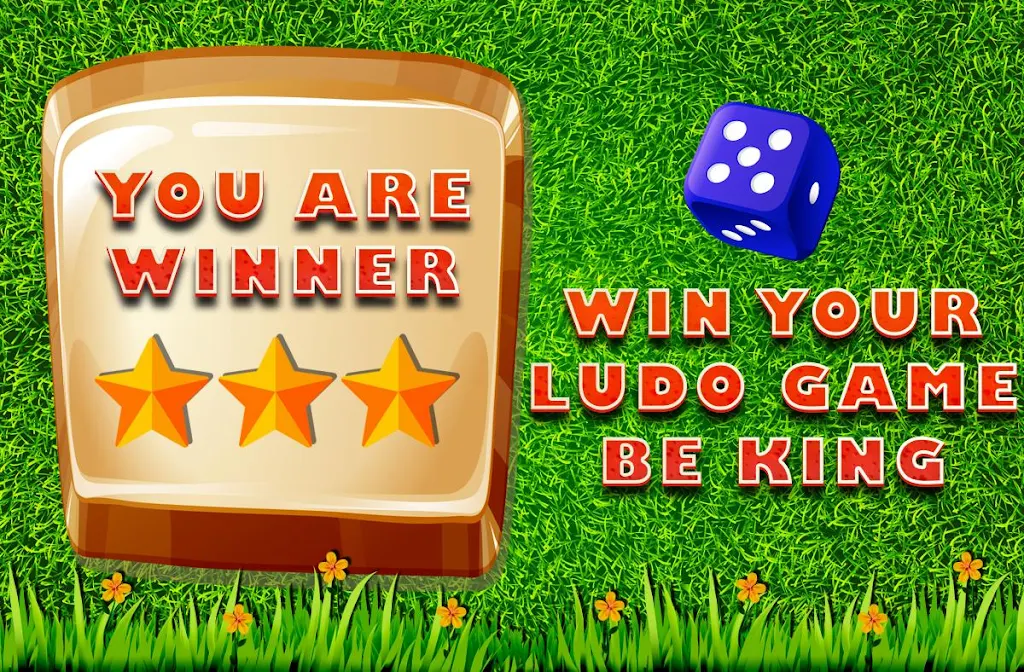 Ludo Game : Classic Ekran Görüntüsü 2