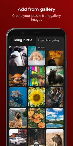 Sliding Puzzle स्क्रीनशॉट 3