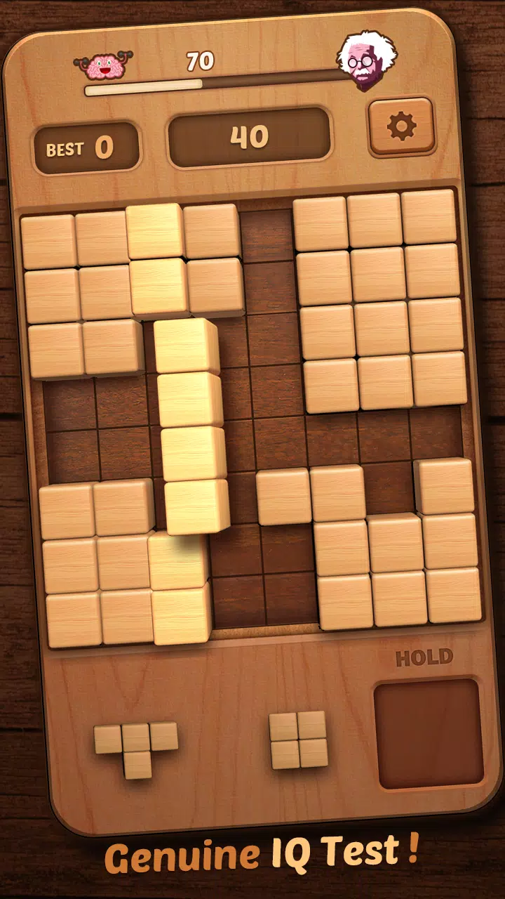 Wood Block Puzzle 3D স্ক্রিনশট 3