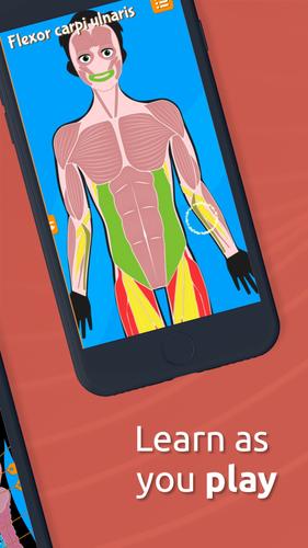 Human Anatomy - Body parts Captura de pantalla 2