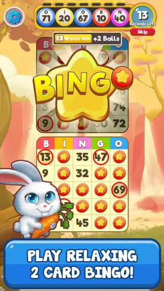 Bingo Pets Zrzut ekranu 1