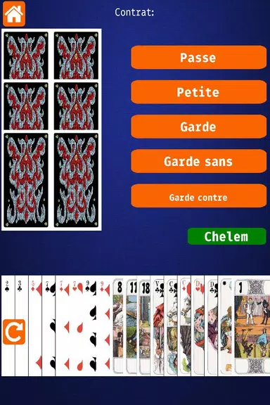 Net.Tarot ဖန်သားပြင်ဓာတ်ပုံ 1