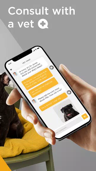 Petcube Ảnh chụp màn hình 3