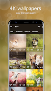 Dog Wallpapers & Puppy 4K ဖန်သားပြင်ဓာတ်ပုံ 1