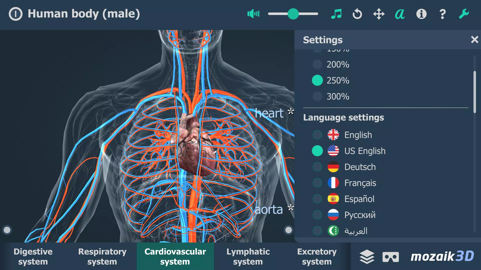 Human body (male) 3D scene Tangkapan skrin 1