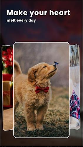 Puppy Love: Cute Dog Wallpaper Captura de tela 2