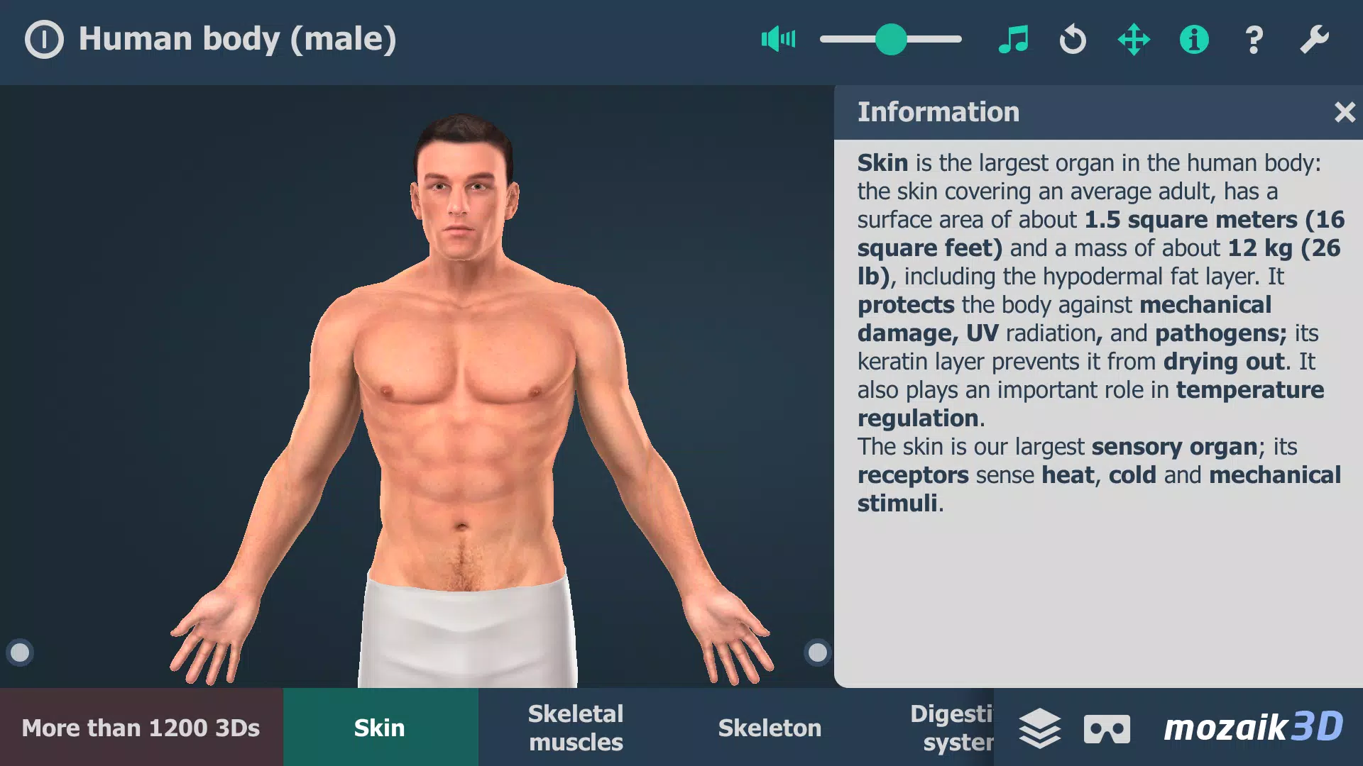 Human body (male) 3D scene Tangkapan skrin 0