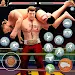 Beat Em Up Wrestling Game