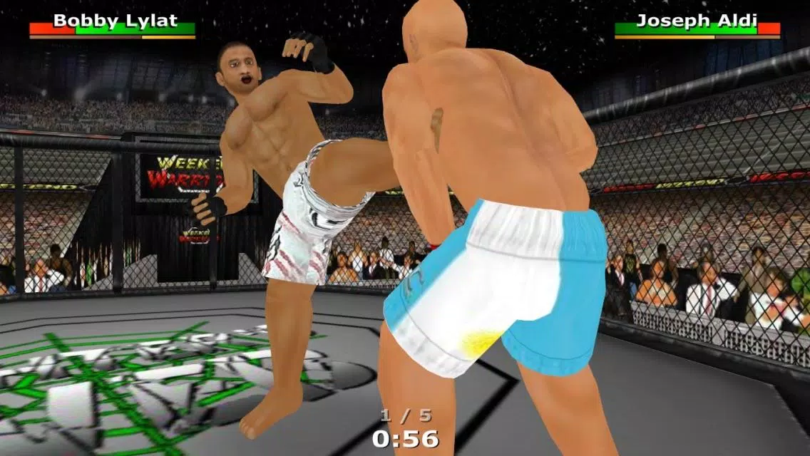 Weekend Warriors MMA Zrzut ekranu 0