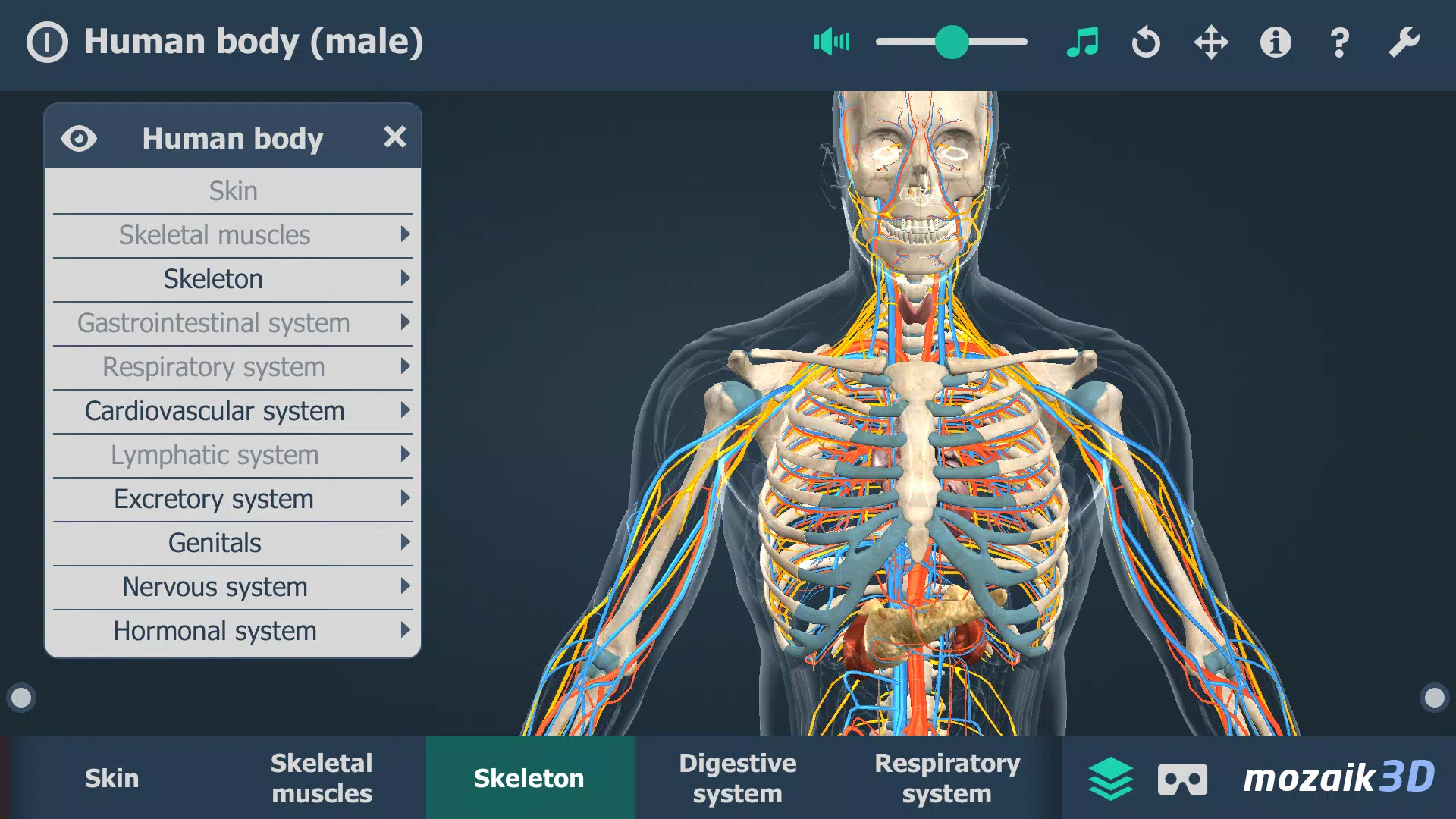 Human body (male) 3D scene Tangkapan skrin 3