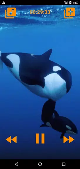Whales songs to sleep স্ক্রিনশট 3