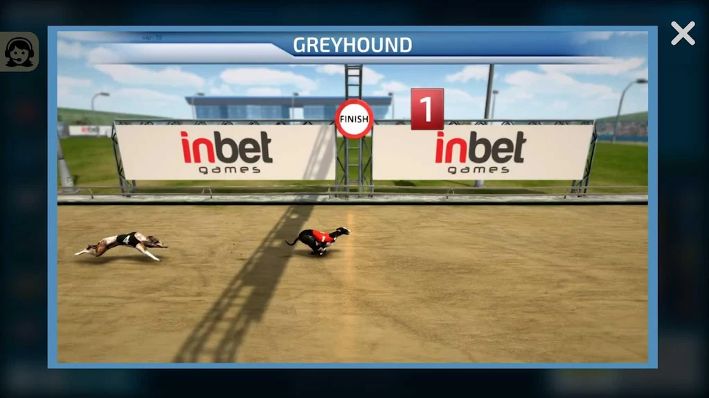 Dogs3D Races Betting Zrzut ekranu 3