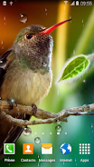 Hummingbirds Live Wallpaper Ảnh chụp màn hình 0