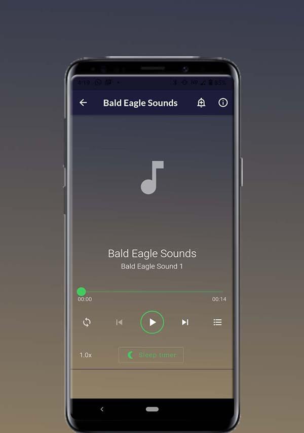 Bald Eagle Sounds Tangkapan skrin 1