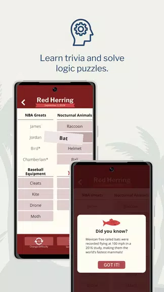 7 Little Words: Word Puzzles應用截圖第0張