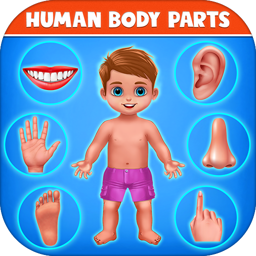 Human Body Parts