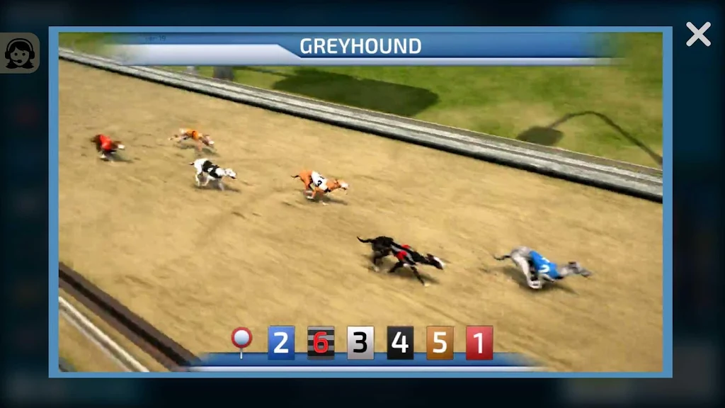 Dogs3D Races Betting Zrzut ekranu 1