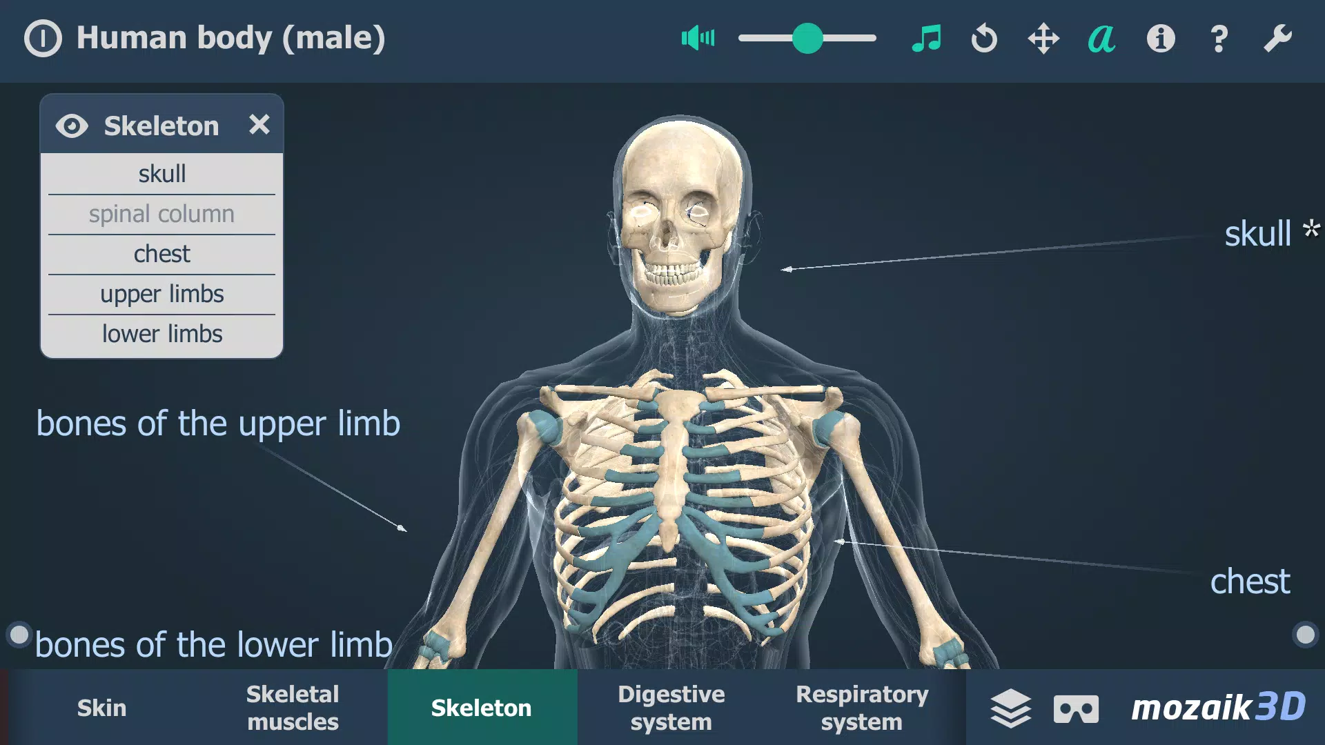 Human body (male) 3D scene Tangkapan skrin 2
