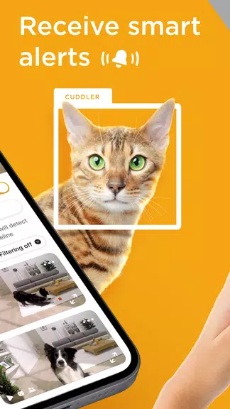 Petcube Ảnh chụp màn hình 1