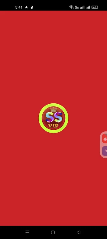 SS VIP VPN 스크린샷 0