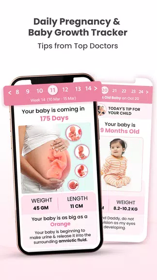 Healofy Pregnancy & Parenting Tangkapan skrin 1