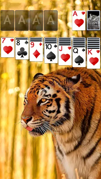 Solitaire Tiger Theme Capture d'écran 0