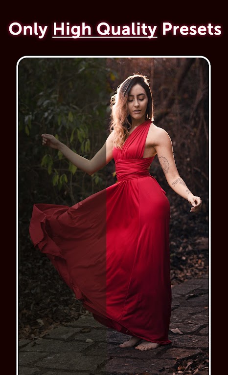 Preset: Lightroom Presets Mod ภาพหน้าจอ 2
