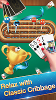 Cribbage - Card Game Ekran Görüntüsü 1