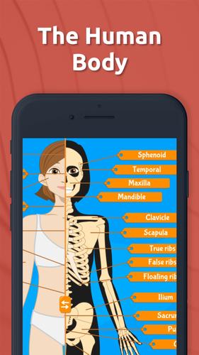 Human Anatomy - Body parts Captura de pantalla 0