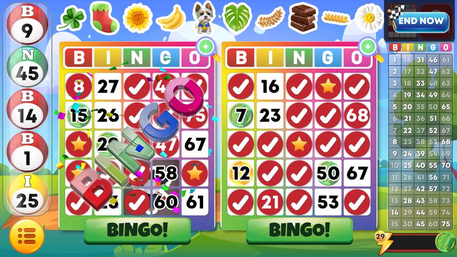 Bingo Classic應用截圖第2張