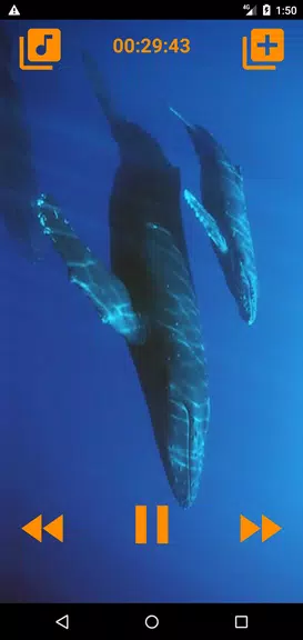 Whales songs to sleep স্ক্রিনশট 2