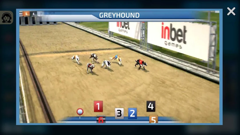 Dogs3D Races Betting Zrzut ekranu 2