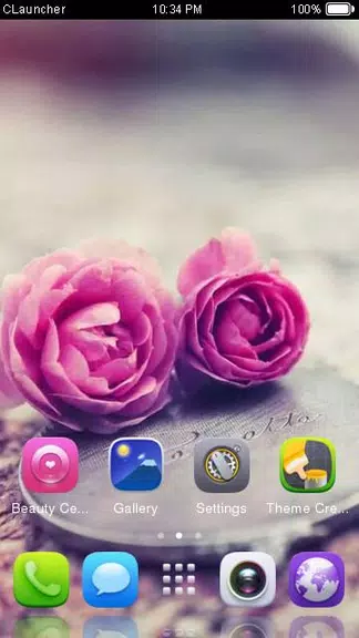 Pink Roses Theme C Launcher應用截圖第2張