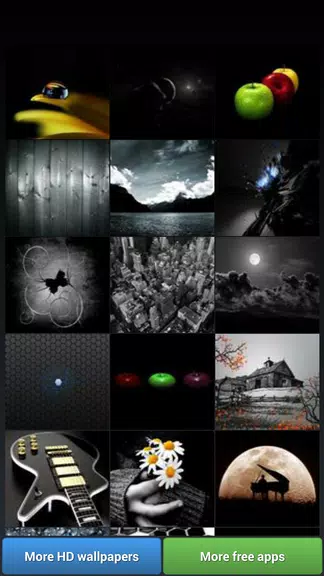 Black Theme HD Wallpapers應用截圖第1張