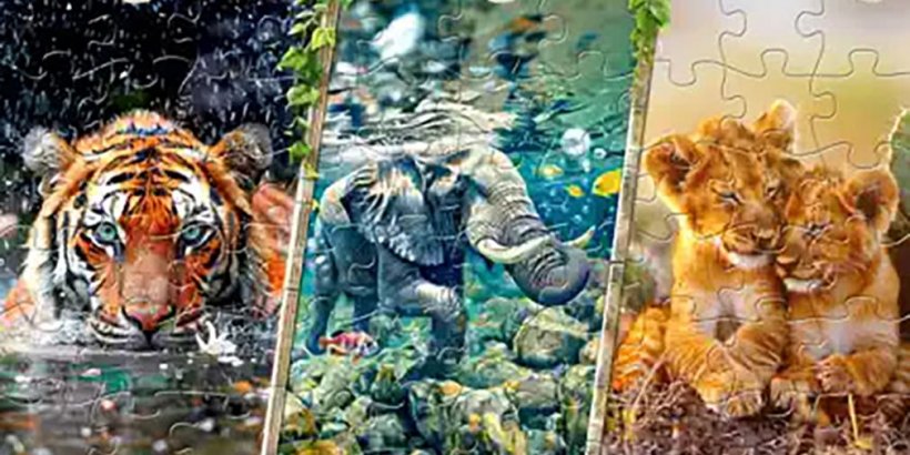 Images of a tiger in a river, a swimming elephant, and two snuggling lion cubs puzzles