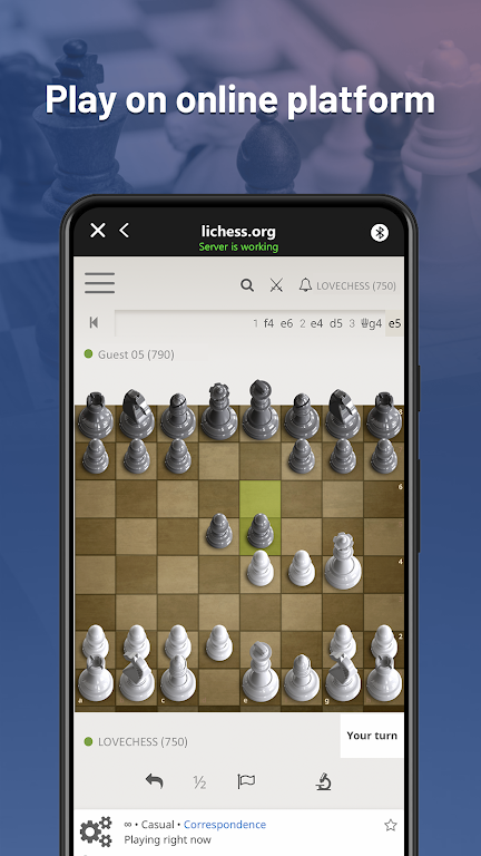 Chessnut Скриншот 1