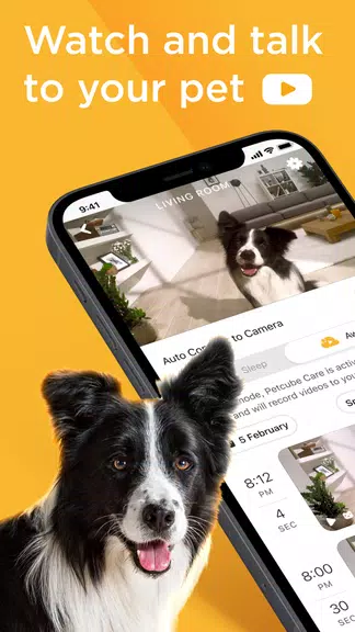 Petcube Ảnh chụp màn hình 0
