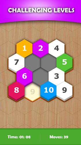 Hexa Sort Puzzle Screenshot 1