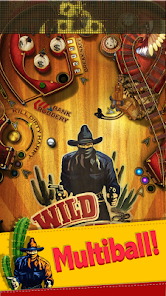 Wild West Pinball ภาพหน้าจอ 0