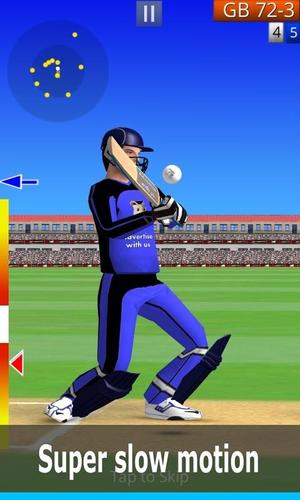 Smashing Cricket Screenshot 0