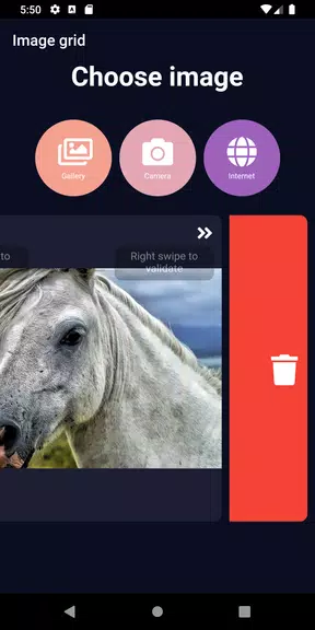 ImageGrid Ảnh chụp màn hình 2