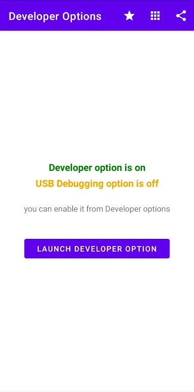 Developer Options Zrzut ekranu 2