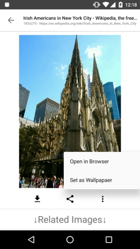 ImageSearchMan – Image Search應用截圖第2張