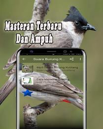 Suara Burung Kutilang Offline Zrzut ekranu 1