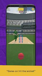 Run Out Champ: Hit Wicket Game Screenshot 1