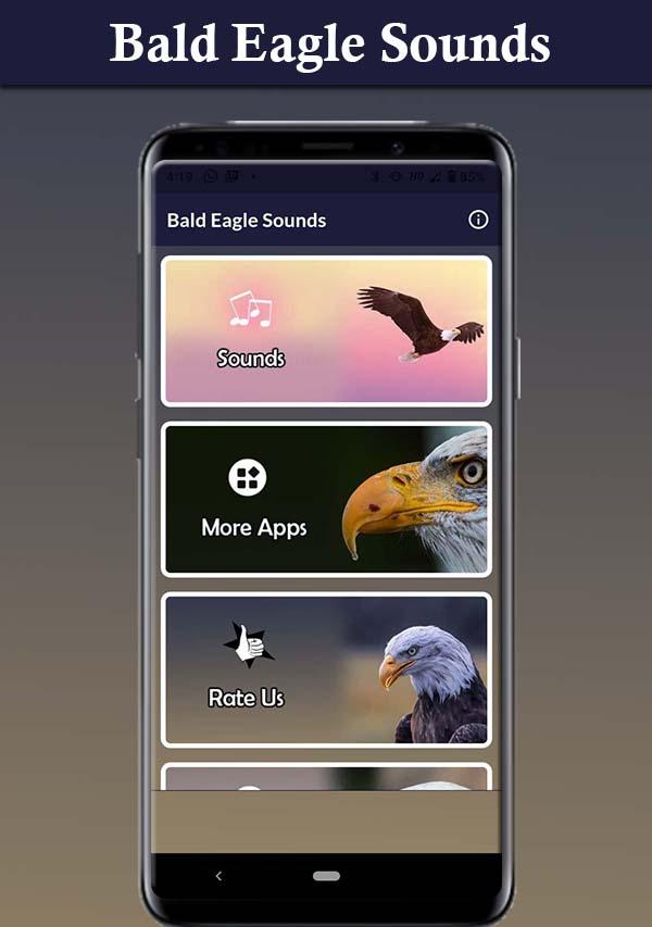 Bald Eagle Sounds Tangkapan skrin 2