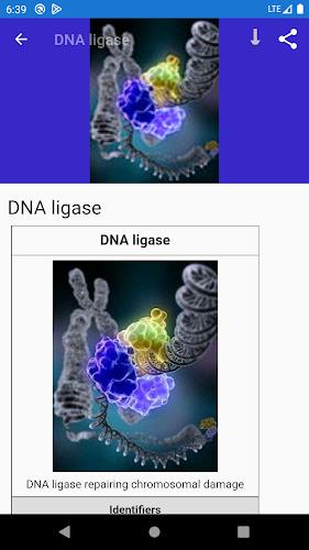 Molecular biology スクリーンショット 2