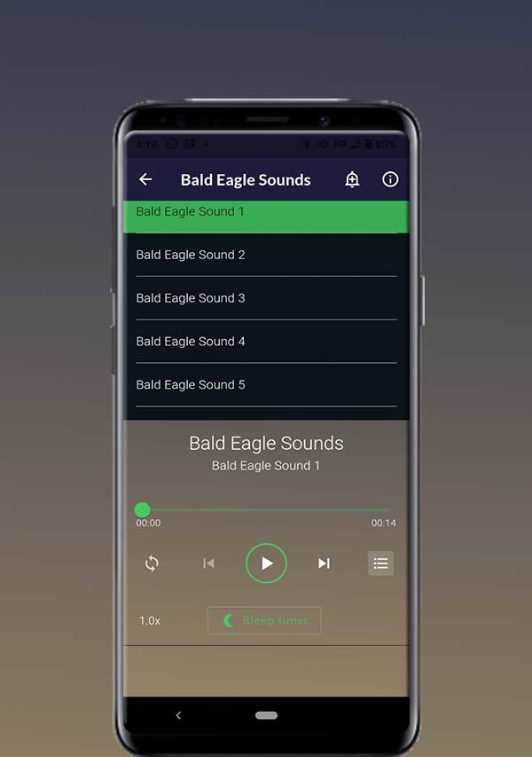 Bald Eagle Sounds Tangkapan skrin 0