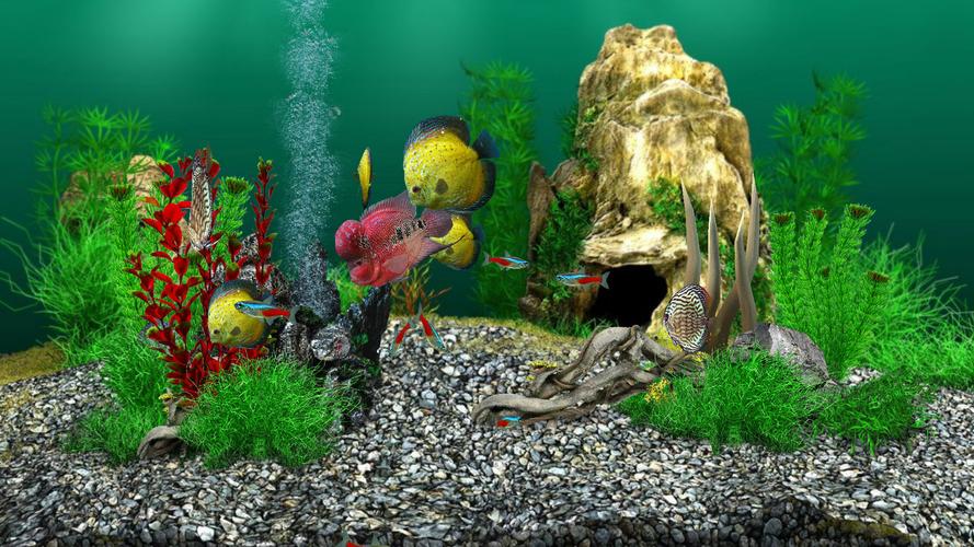 AquaLife 3D 스크린샷 3